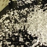 Silver Flakes Shaker  Edible   1 gr (Special Order Only*)