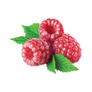 Raspberry Bakery Jam Seedless Bake Stable (22 lb)