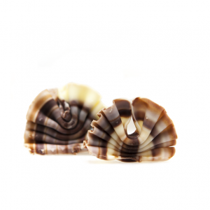 Mini Marble Bows 185pcs