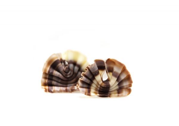 Mini Marble Bows 185pcs