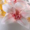 Cymbidium Orchid Cutter - Image 2