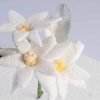 Edelweiss Flower Cutter - Image 2